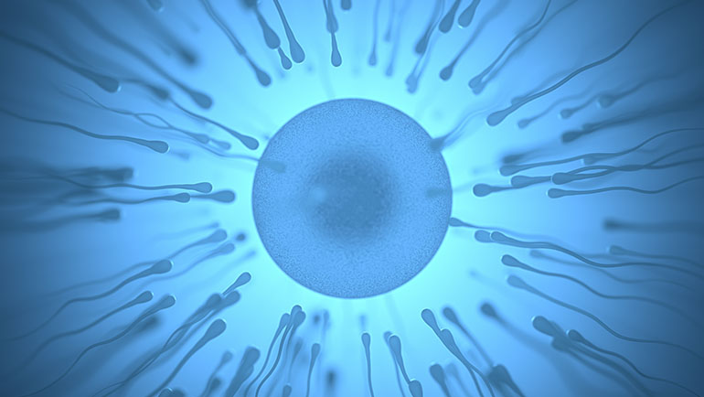 Erkek-İnfertilitesi
